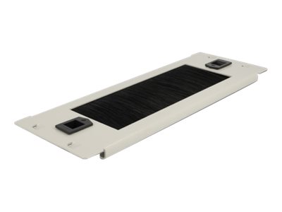 [66619] Delock Kabelmanagementleiste - Grau - 2U - 25.4 cm (10")