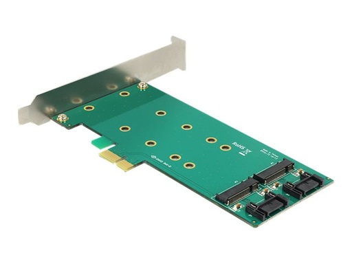[89473] Delock PCI Express Card > 2 x internal M.2