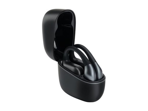 [RB-F10DE-K] Panasonic RB-F10DE - True Wireless-Kopfhörer