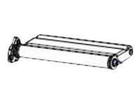 [P1083320-072] Zebra Media Dancer