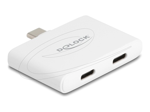 [61088] Delock USB-Adapter - USB-C (M) zu USB-C (W)