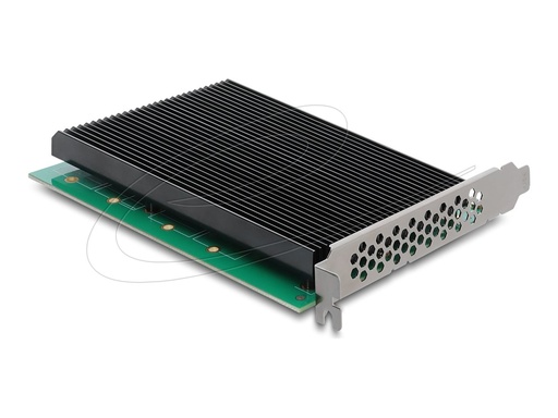 [90709] Delock Schnittstellenadapter - with heat sink