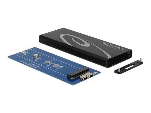 [42570] Delock Speichergehäuse - M.2 Card - USB 3.1 (Gen 2)