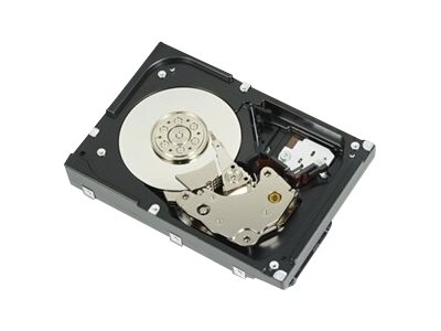 [400-BBFI] Dell  Festplatte - 1.2 TB - Hot-Swap - 2.5" (6.4 cm)