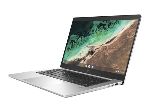 [5Q7H2EA#ABD] HP Elite c645 G2 Chromebook Enterprise - AMD Ryzen 5 5625C / 2.3 GHz - Chrome OS (mit Chrome Enterprise Upgrade)