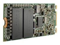 [P40513-B21] HPE SSD - Read Intensive - 480 GB - intern - M.2 22110 - PCIe x4 (NVMe)